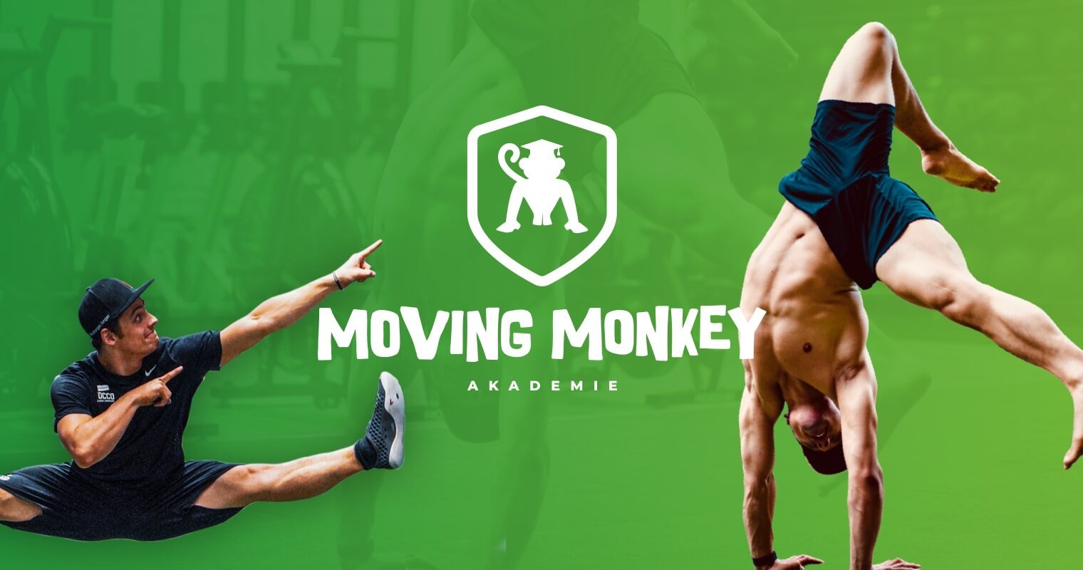 Moving Monkey - Leon Stage