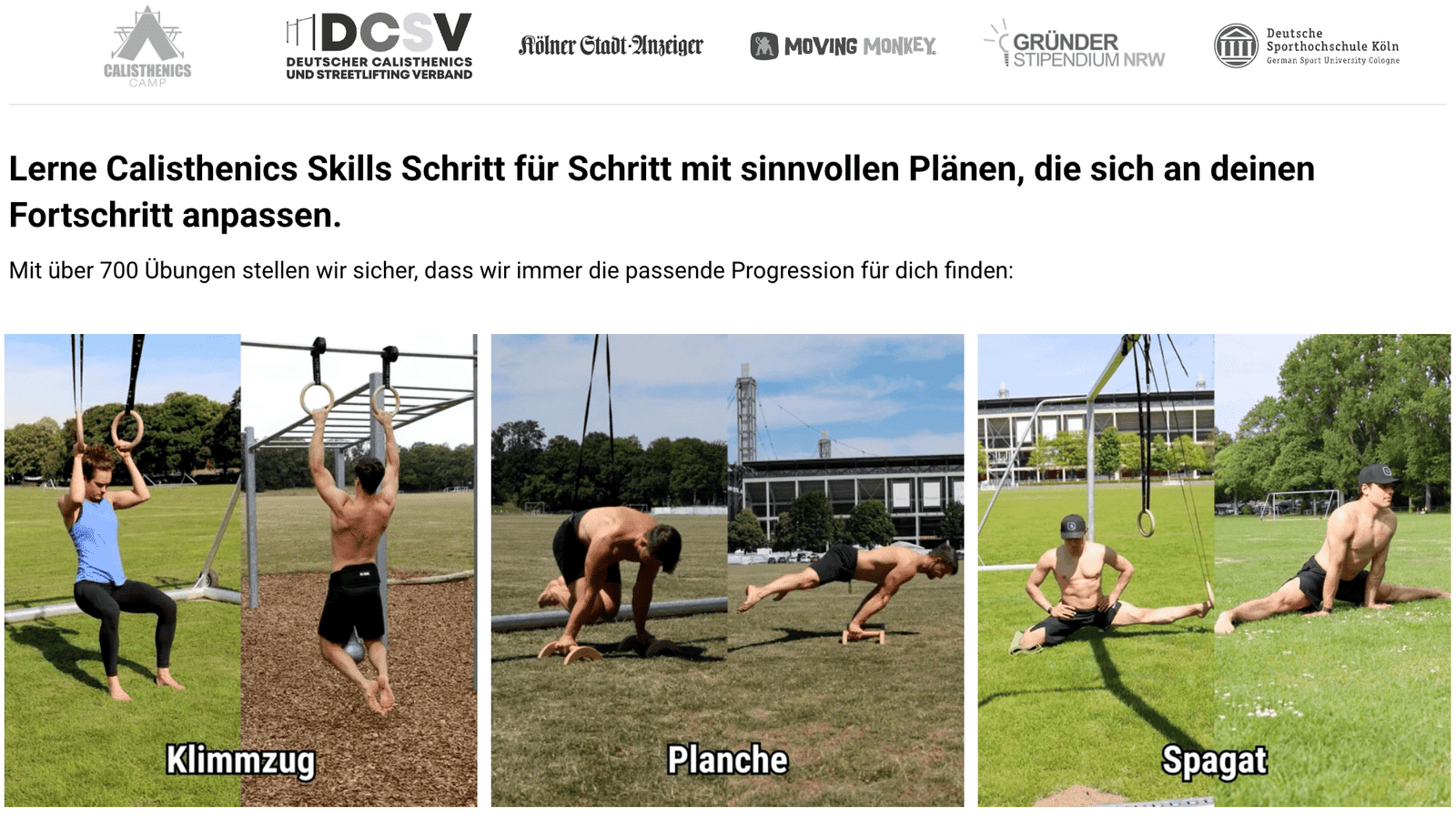 Die Ringe Screenshot Webseite