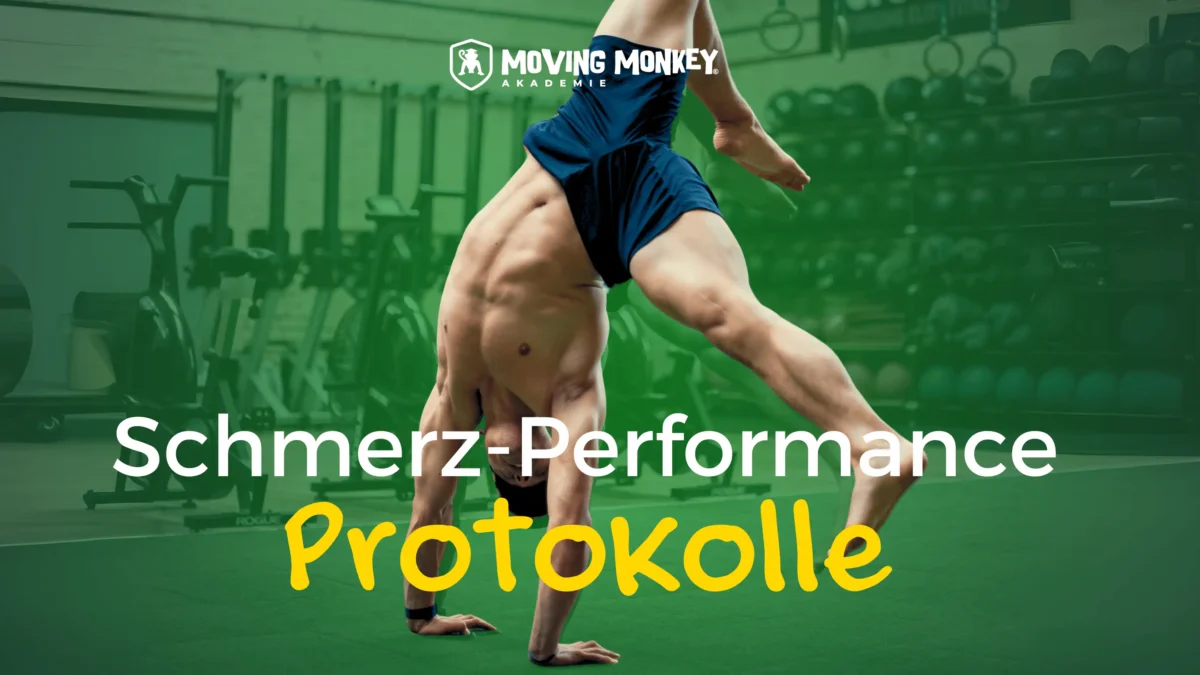 schmerz performance protokolle