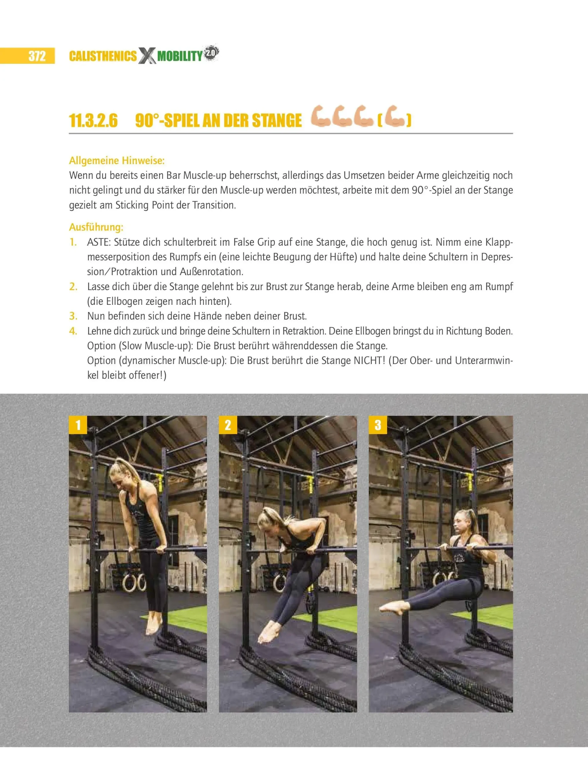CXM 2.0: Calisthenics Advanced Basics